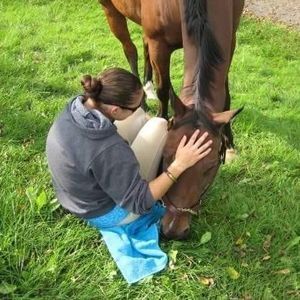 Meet your Posher, Devon